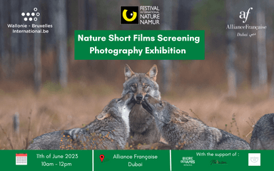 Nature Namur Petit journal 745x465