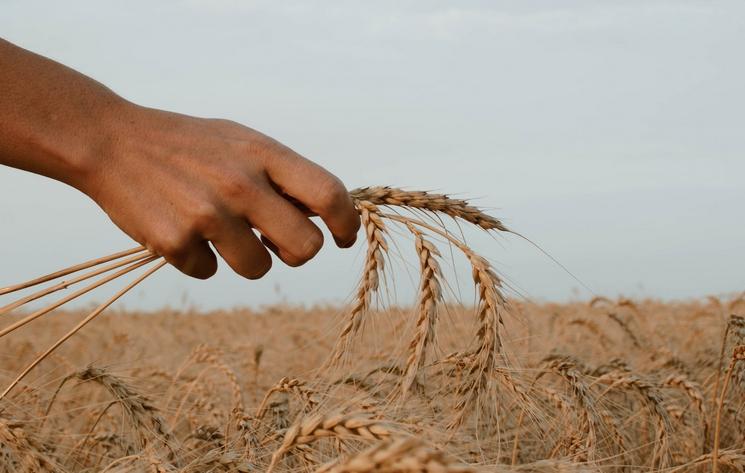 paz-arando-zwZusrYAGoM-unsplash