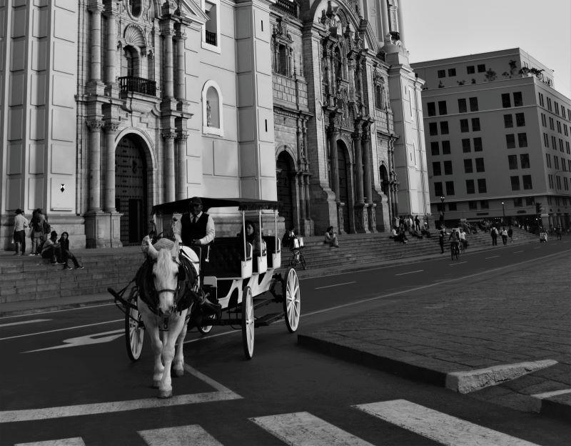 -renato-retuerto-altamirano 1_0