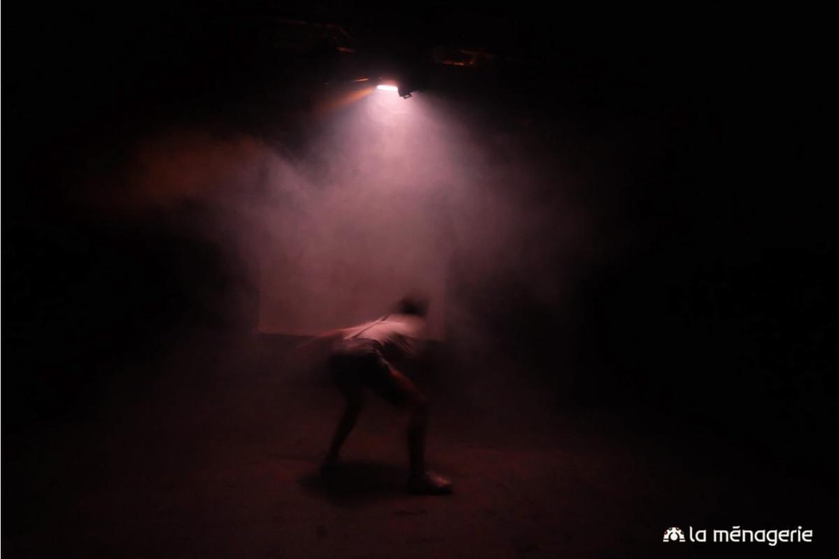 La Ménagerie - affiche La Semainagerie