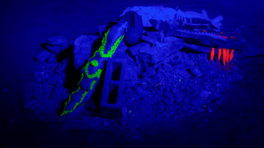 Affiche des Vitrines "Schneckenprinzessin" par Lola Barrett ©IF Berlin