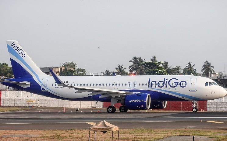 Un airbus de la compagnie aérienne indienne indigo