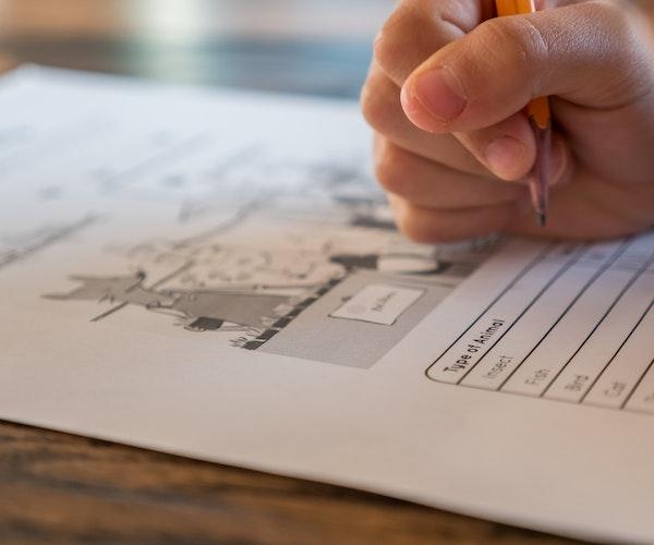 130 000 diplômés du secondaire roumains ont commencé les examens du baccalauréat