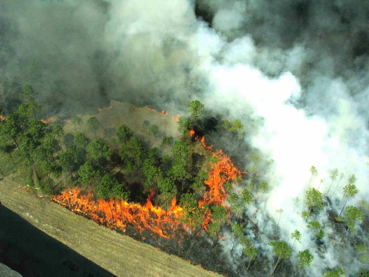 feux de forets Canada Québec