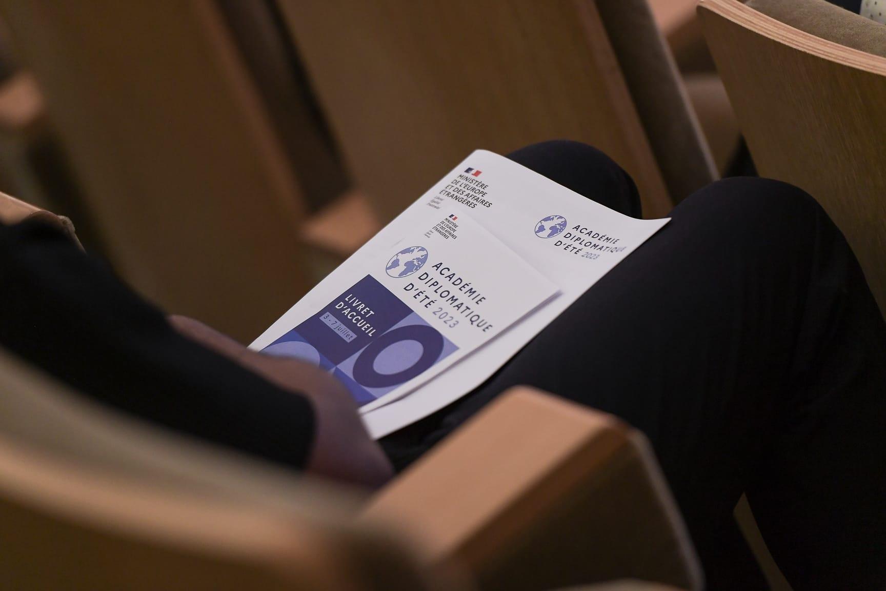 Académie Diplomatique d'été