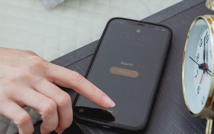 français roi fainéantise