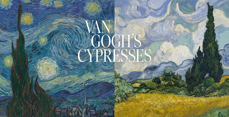Les cyprès de Van Gogh