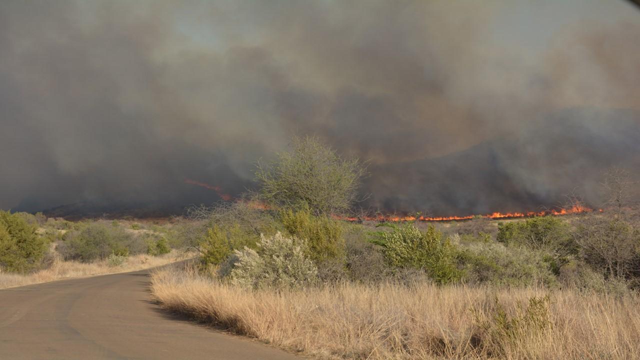 Incendie au Pilanerberg National Park en Afrique du Sud