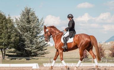 cavalier monte à cheval