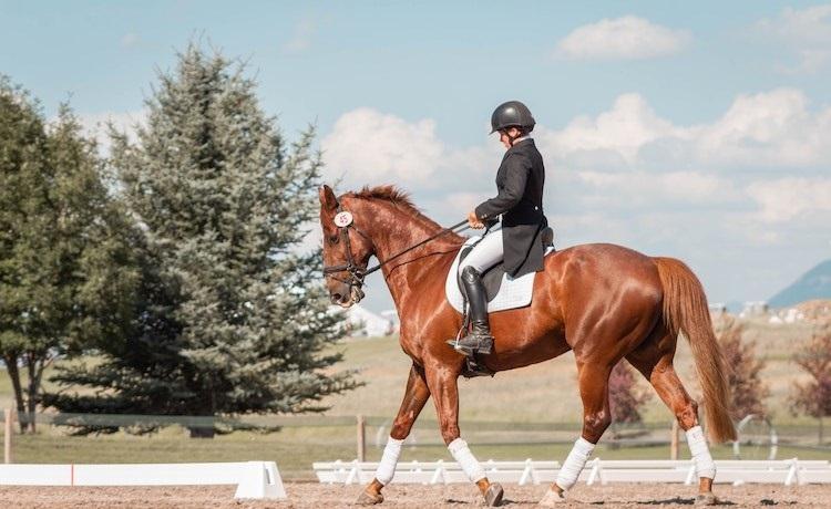 cavalier monte à cheval