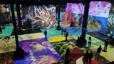 Océans l'odyssée immersive