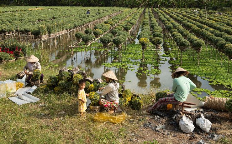 Alerte au Mékong dont le débit s’affaiblit dangereusement