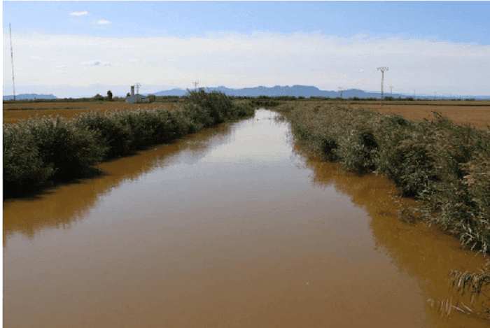 l'eau de l'Albufera près de Valencia une teinte marron