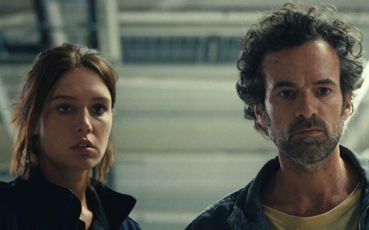 règne animal institut fr