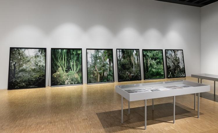 photographies de la nature foto © Gianluca Di Ioia