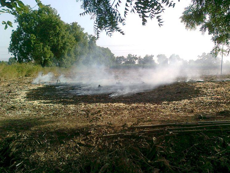 Burning crop waste to prepare the field for next crop