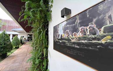 Jérémie Montessuis expose à Topaz