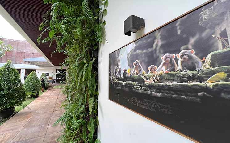 Jérémie Montessuis expose à Topaz