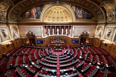 Le Sénat débute le vote du projet de loi immigration