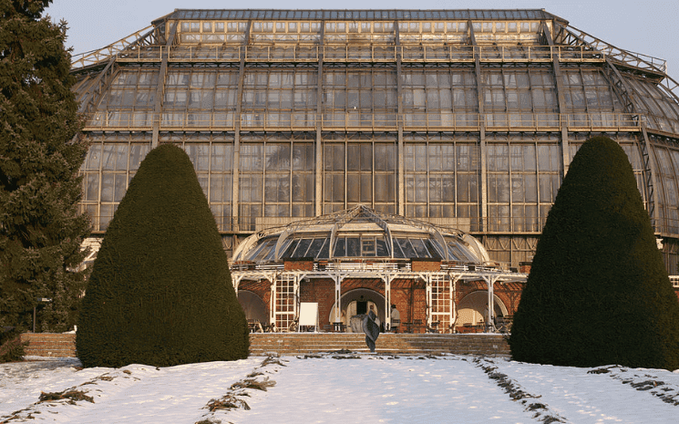 illuminations 2023 noel berlin jardin botanique