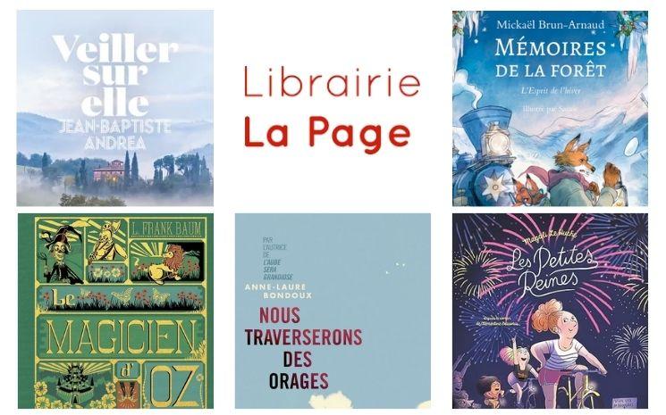 recommandations livres noël