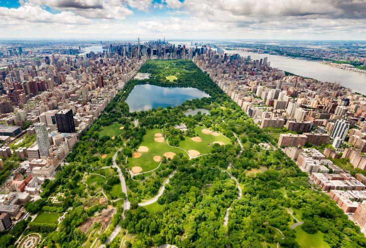 De la F1 en plein Central Park ?