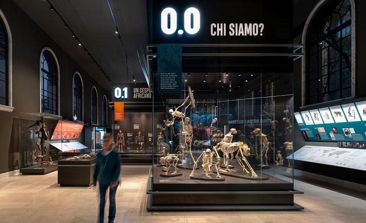 MuseoStoriaNaturaleMilano_Sala dell'Uomo_credito fotografico Andrea Martiradonna, Courtesy Migliore+Servetto_01