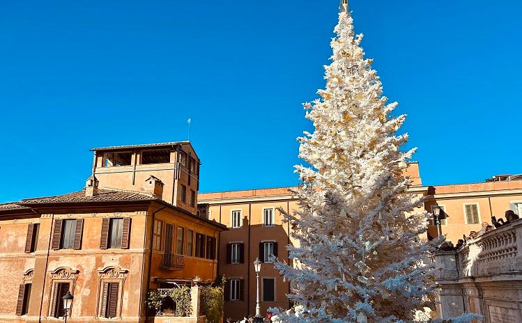 sapin blanc de Noël Rome