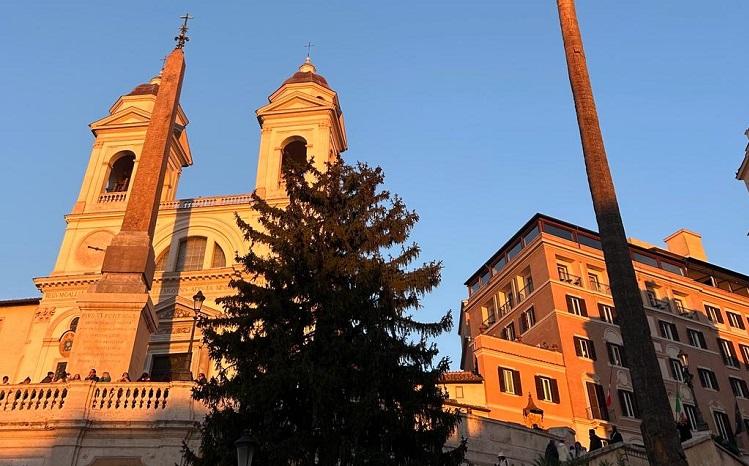 sapin devant église de rome