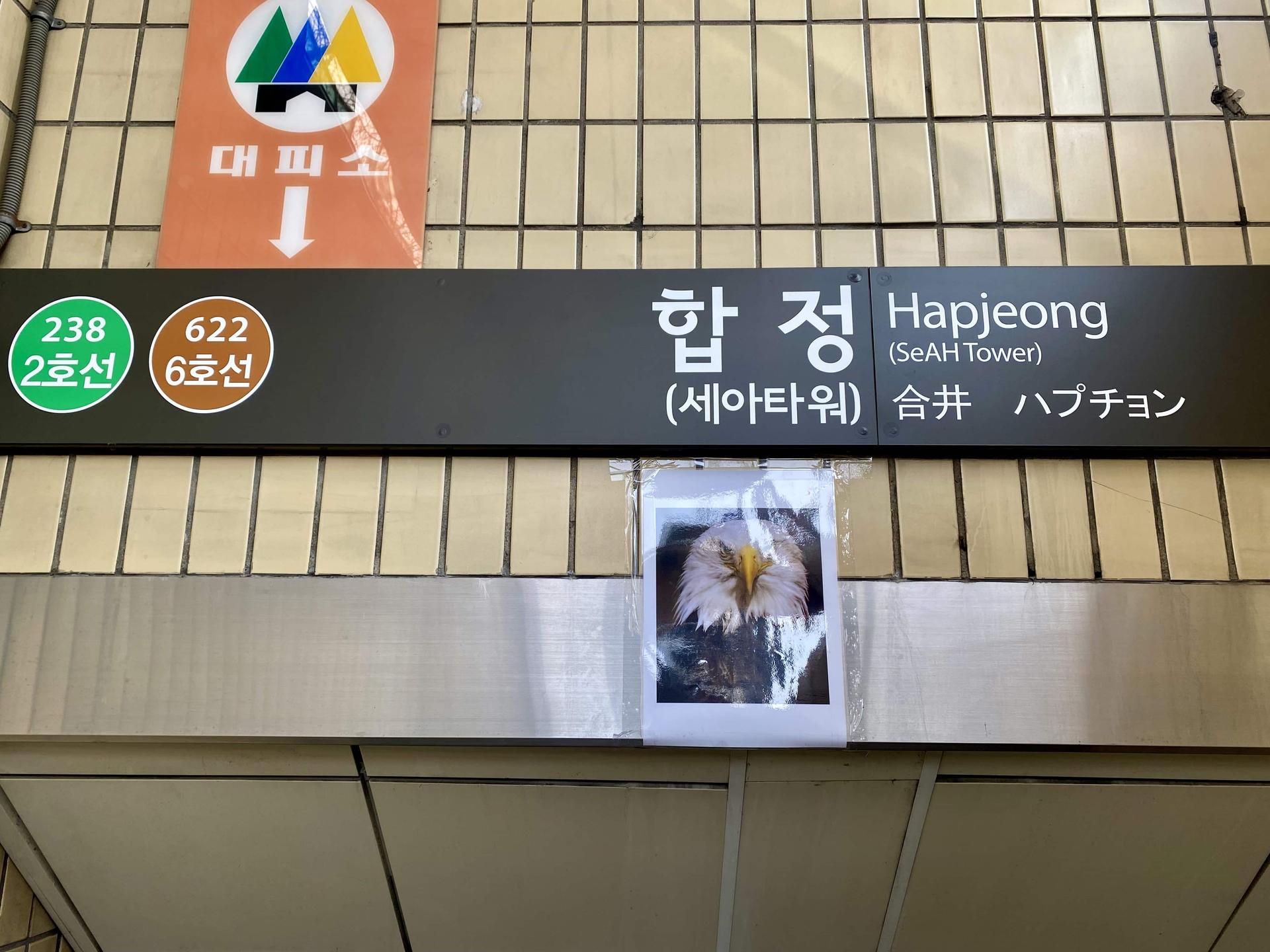 Une photo d'un aigle à l'entrée de la bouche de métro à Hapjeong, Seoul.
