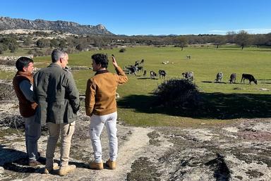 visites guidées taureau bravo a madrid