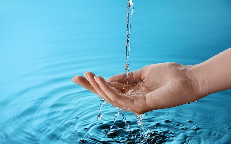 Goutte à goutte : petits gestes pour une grande économie d'eau