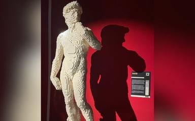 art of the brick david