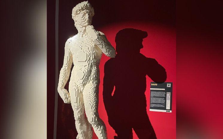 art of the brick david