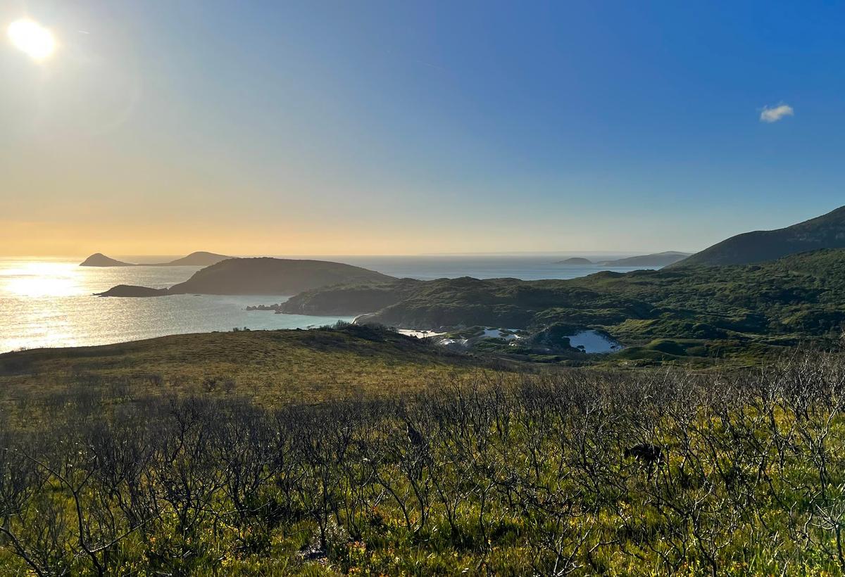Magnifique vue entre Mer et Montagnes, depuis la balade Tidal Overlook Circuit
