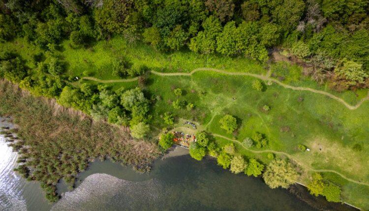 Pajistea-Petricani.-Meadowjpg-750x430