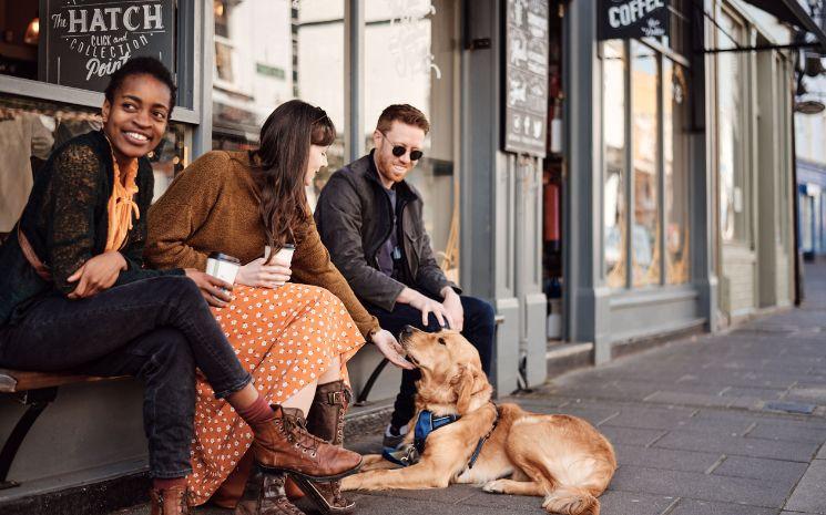 Dog friendly Dalkey, Co Dublin lead