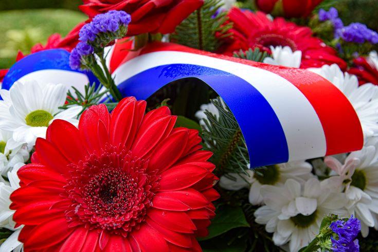 Victory Day en Europe, une germe de fleurs