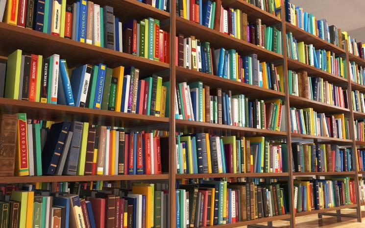 5 avantages d’utiliser les serre-livres