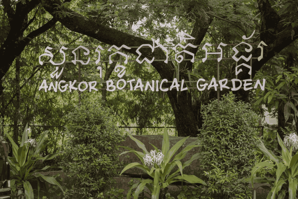 Jardin botanique d’Angkor, AKP