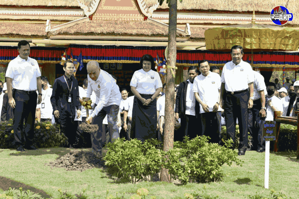 Journée de l’arbre, AKP