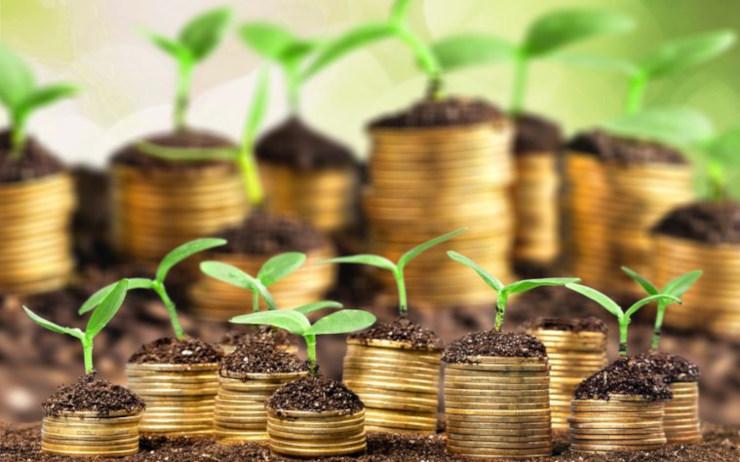 Avantages des comptes à terme pour la trésorerie des TPE et PME ?