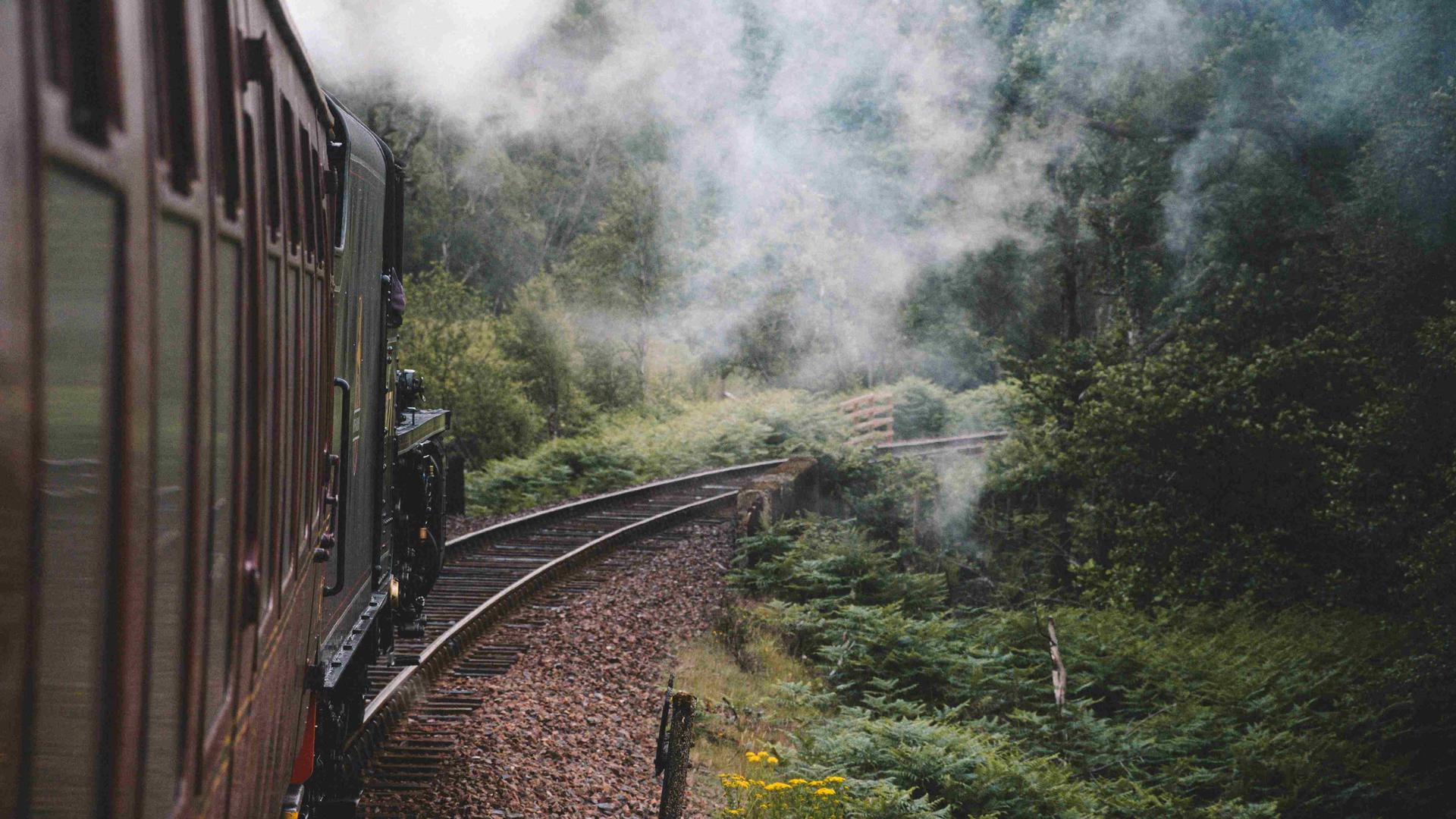 sandy-ravaloniaina-Pbo-C4BnhHE-unsplash_11zon