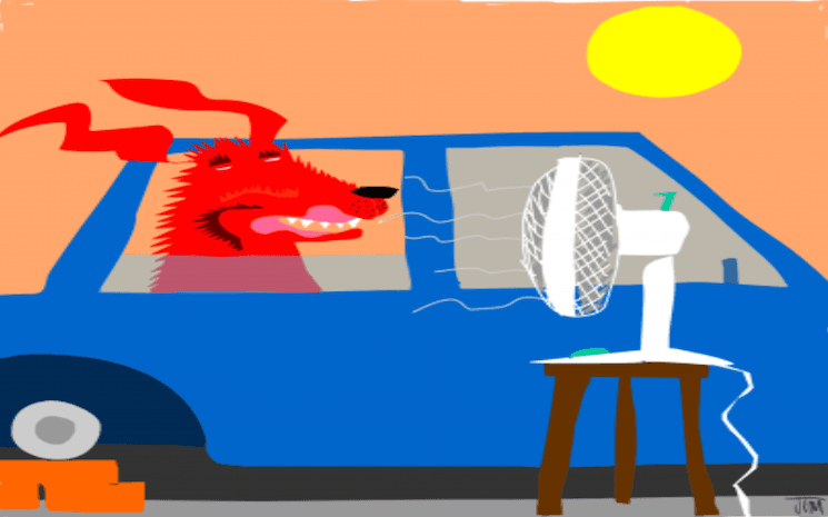 L’importance des émotions dans le processus d’apprentissage