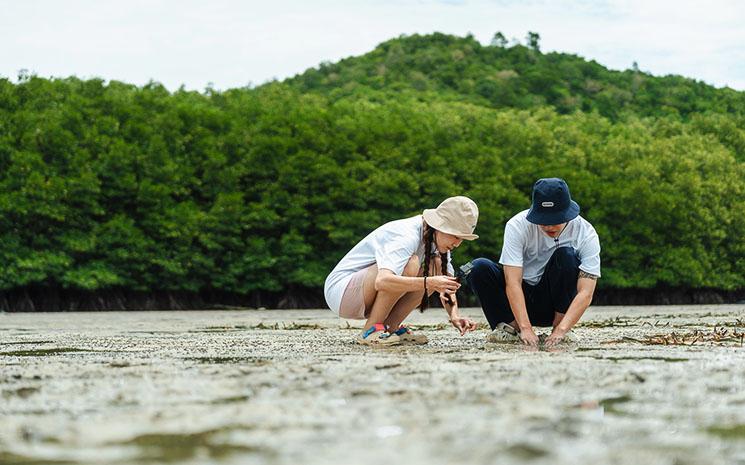 Thailande-tourisme-ecoresponsable-TAT