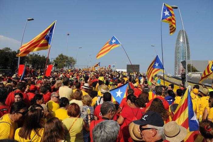 diada de catalunya 2014