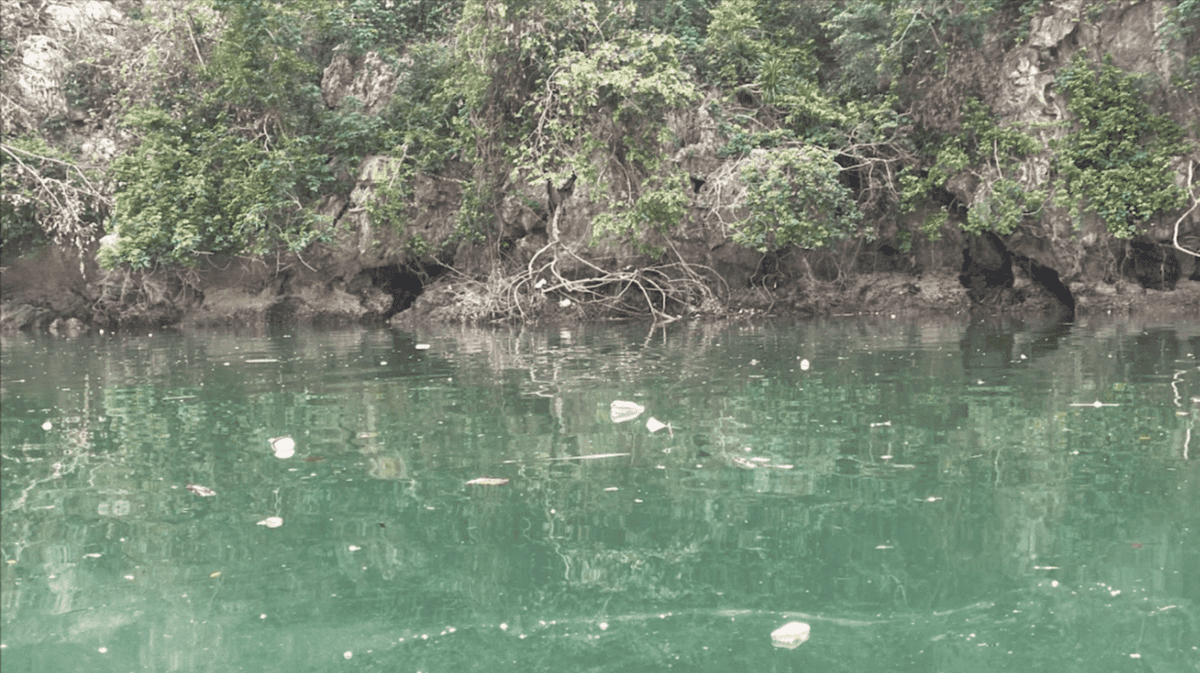 Ha-long-pollution-après-le-typhon