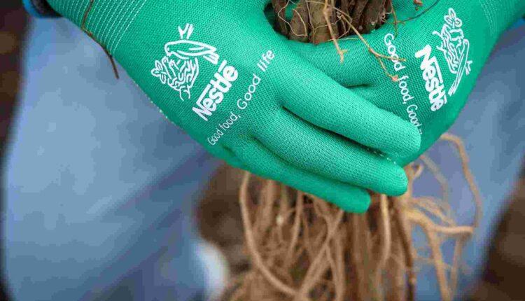 20241127-Nestle-Padurea-de-Miere-foto-6-750x430