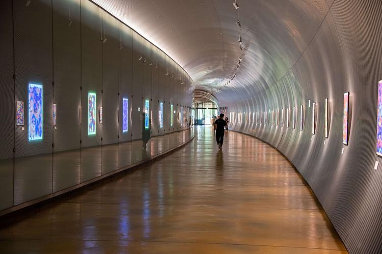 Sputniko! tunnel à OIST Okinawa