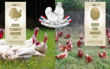 CIWF-Good-Egg-Good-Turkey-Award-Klong-Phai-Farm-